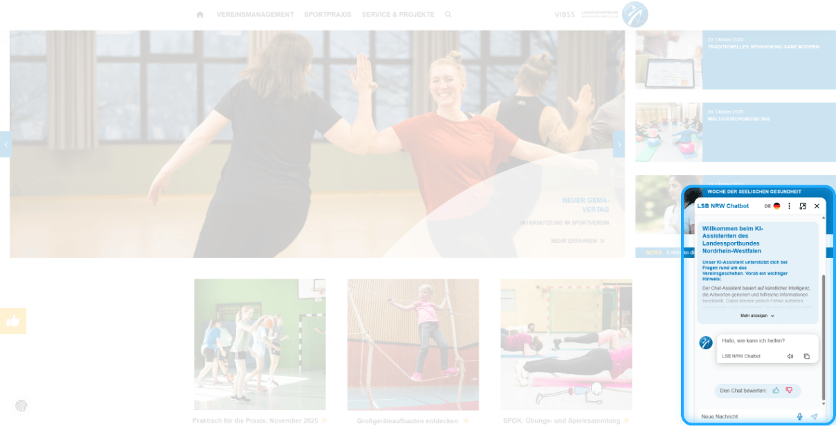 Geöffnetes Chat-Fenster mit Begrüßungs- und Hinweis-Texten auf vibss.de